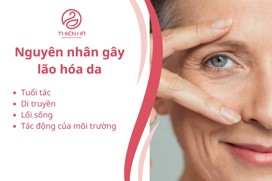 Những biện pháp chăm sóc khoa học và tự nhiên sẽ giúp bạn kéo dài nét thanh xuân và bảo vệ làn da khỏi những tác động tiêu cực từ môi trường xung quanh.