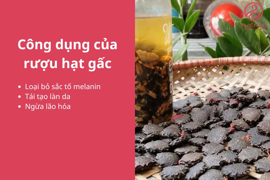 Rượu hạt gấc được dùng trong điều trị nám da rất hiệu quả