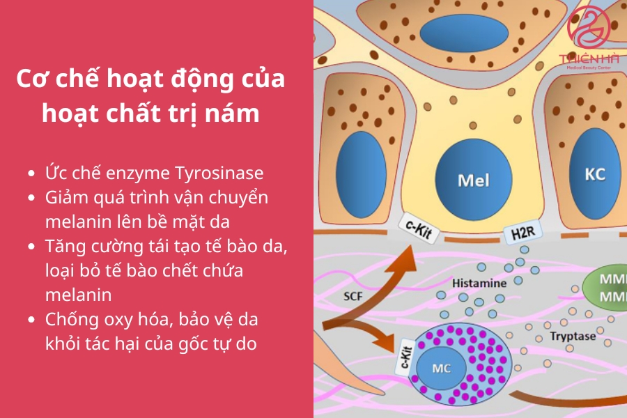 Các hoạt chất trị nám có thể hỗ trợ làm mờ nám hiệu quả nếu được sử dụng đúng cách