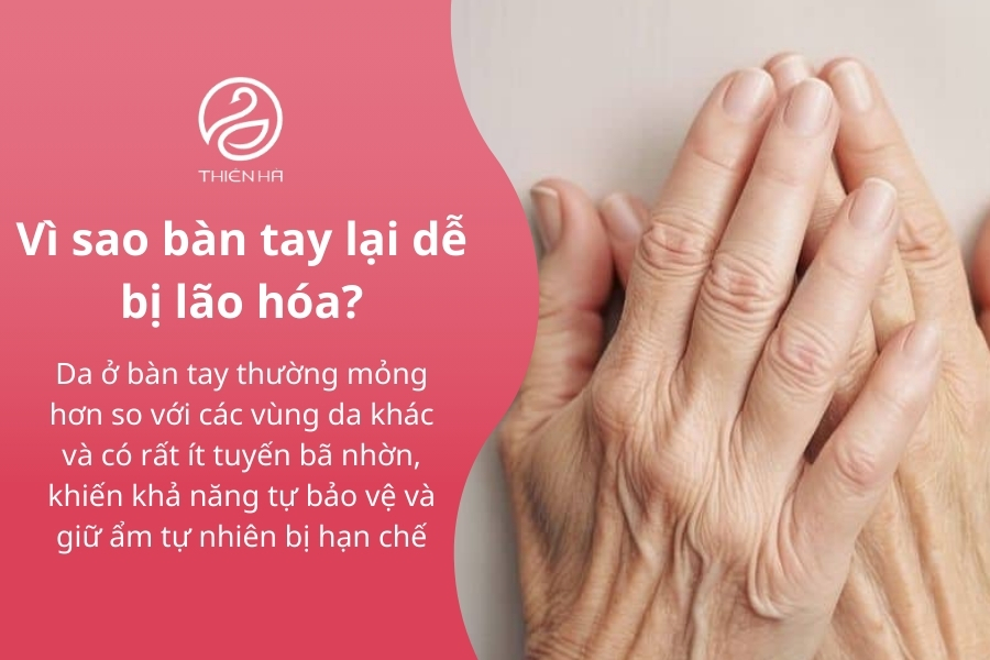 Da tay dễ bị lão hóa là vì cấu trúc mỏng, thường xuyên phải vận động làm việc, tiếp xúc nhiều với các hóa chất, tác động từ môi trường,...
