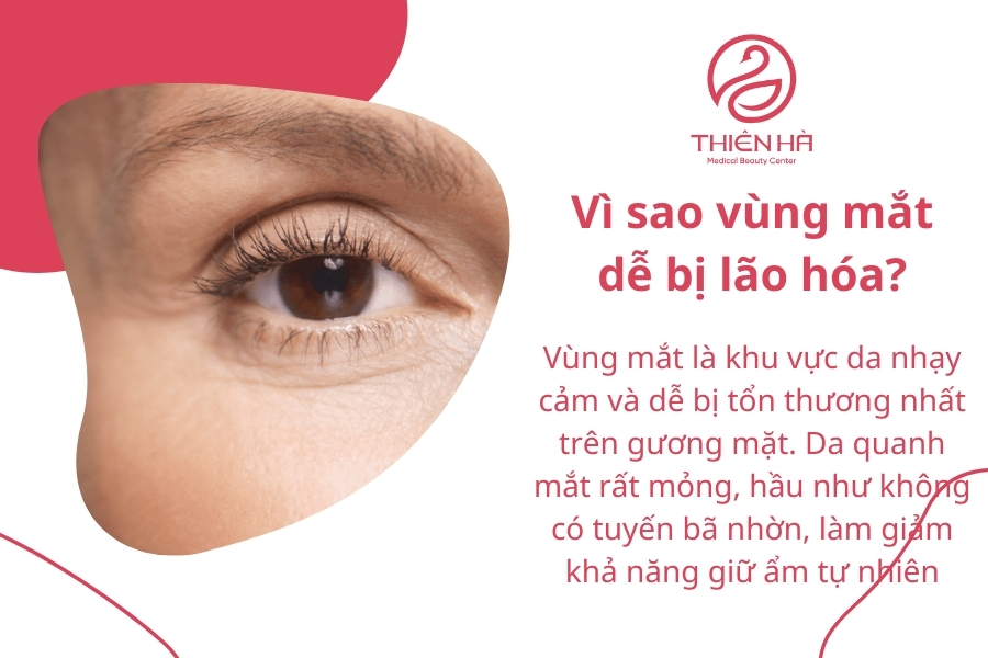 Hiểu rõ nguyên nhân và dấu hiệu lão hóa vùng mắt là bước đầu để tìm kiếm giải pháp trẻ hóa hiệu quả, giúp duy trì ánh nhìn rạng rỡ và đầy sức sống.