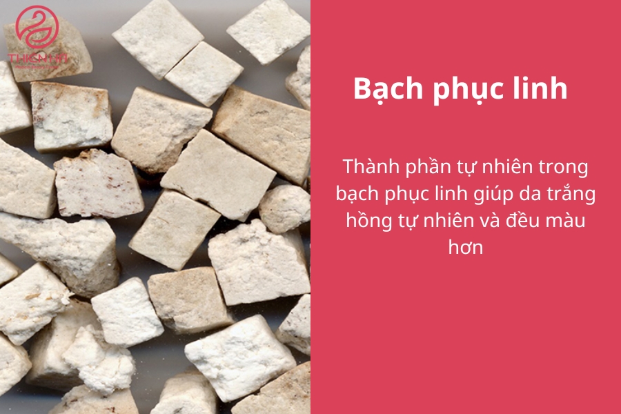 Bạch phục linh là một trong các vị thuốc bắc làm trắng da được đánh giá cao 