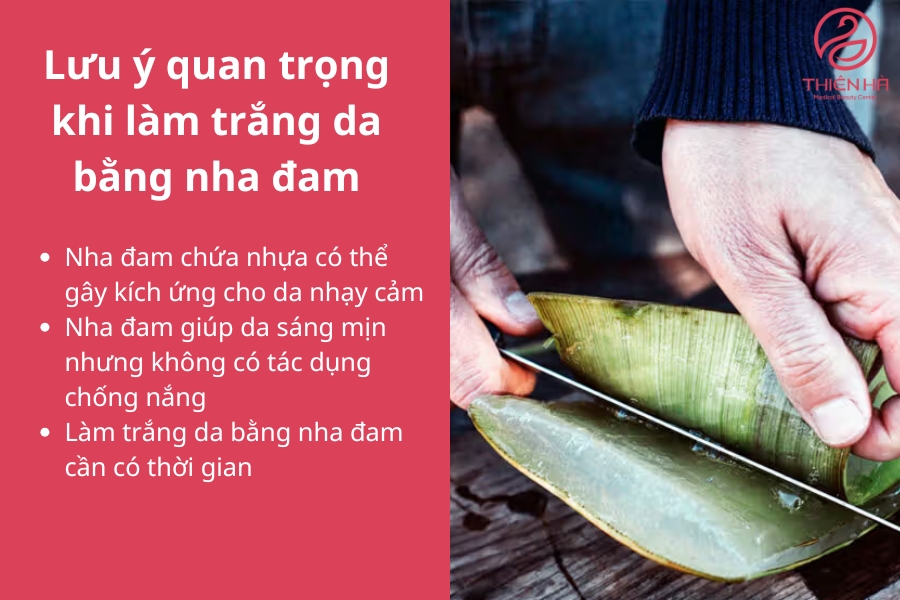 Nha đam có thể gây kích ứng nên đừng chủ quan trong việc chăm sóc da sau khi sử dụng nha đam nhé!