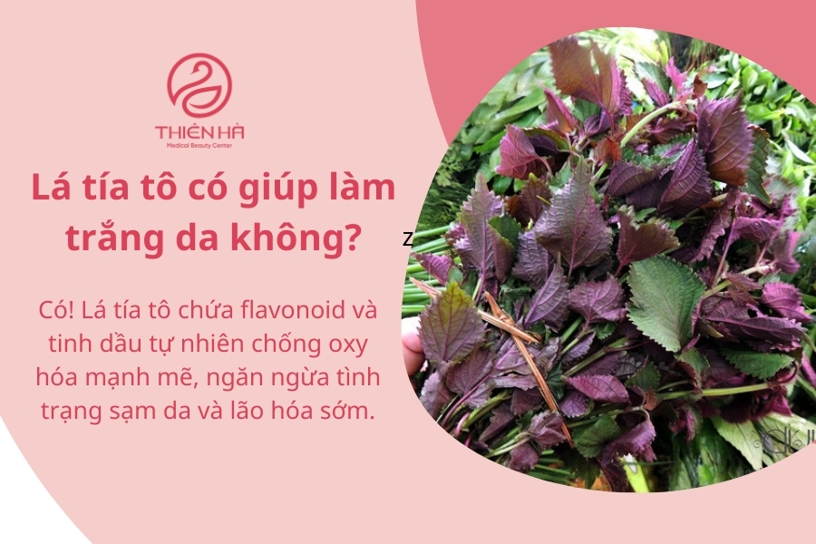 Lá tía tô khi sử dụng đúng cách sẽ phát huy công dụng làm sáng da và tránh thâm nám