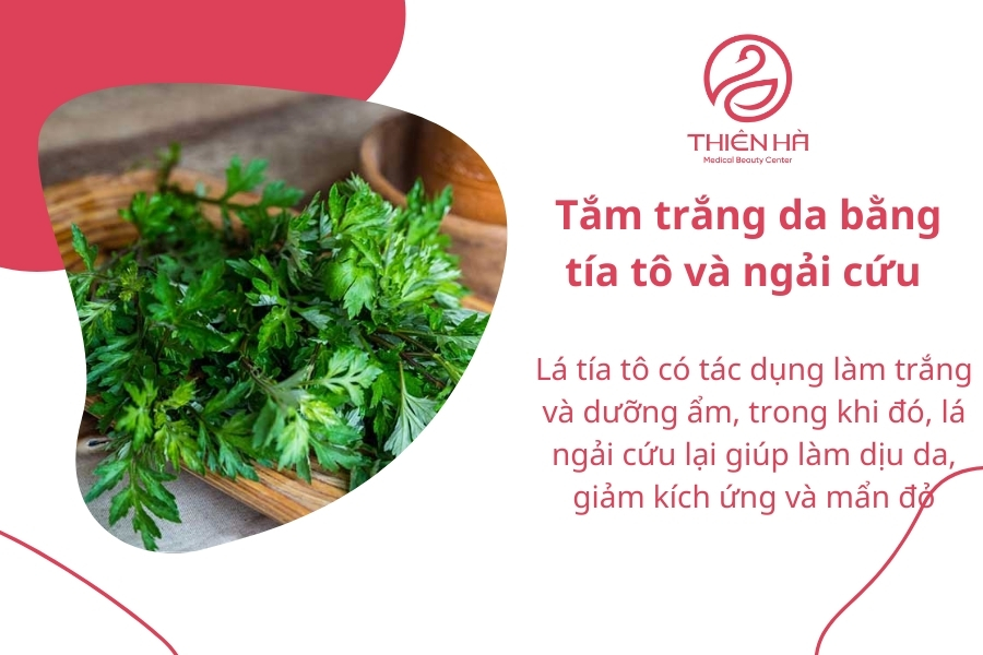 Bạn có thể sử dụng 2 loại lá là tía tô và ngải cứu để đun lấy nước tắm hàng tuần cho làn da nhanh bật tông