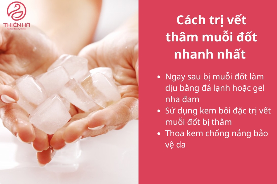 Ngay khi bị muỗi đốt để phòng ngừa thâm bạn hãy áp dụng các cách này