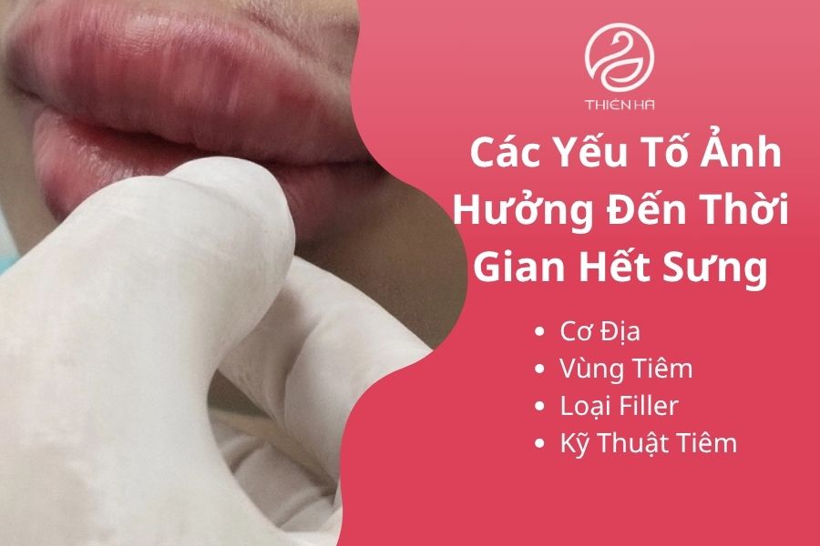 Các Yếu Tố Ảnh Hưởng Đến Thời Gian Hết Sưng
