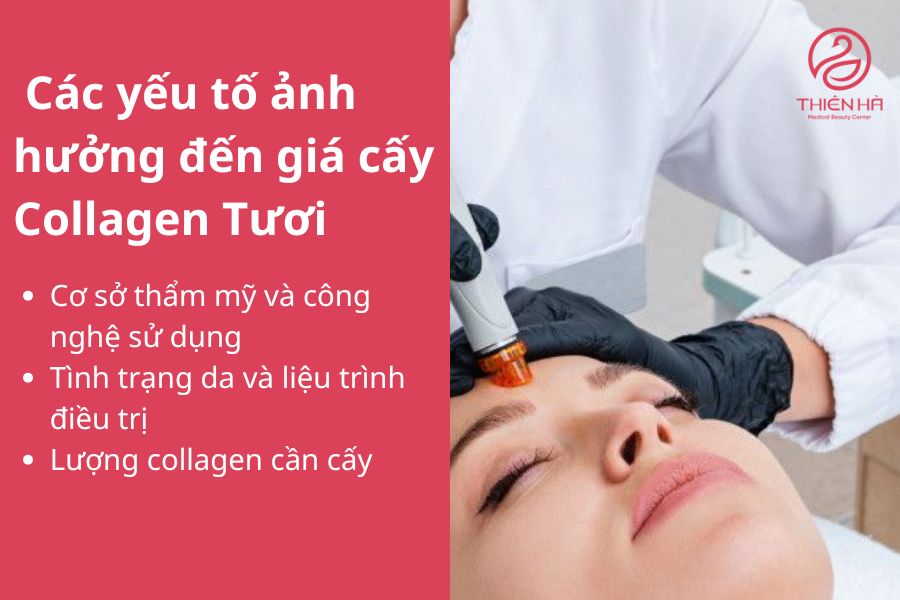 Các yếu tố ảnh hưởng đến giá cấy Collagen Tươi