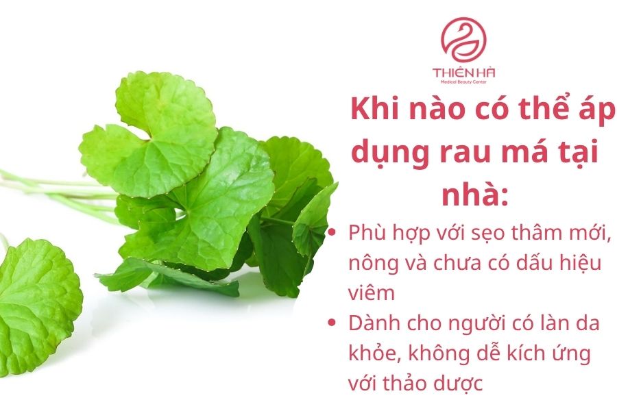 Khi nào có thể áp dụng rau má tại nhà