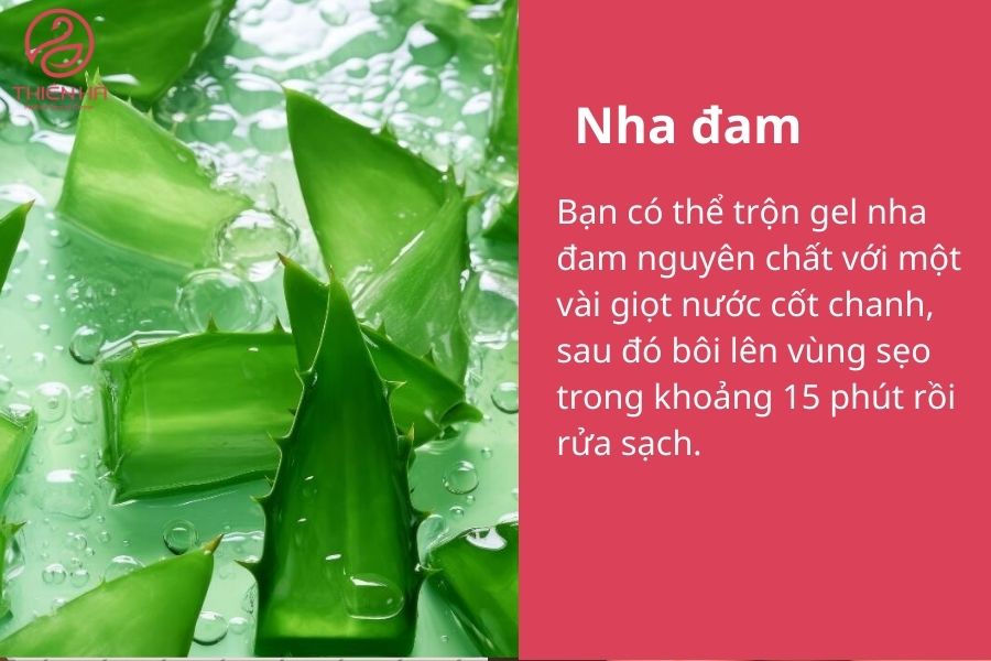 Gel nha đam có khả năng dưỡng ẩm, làm sáng da và giảm sẹo thâm đỏ